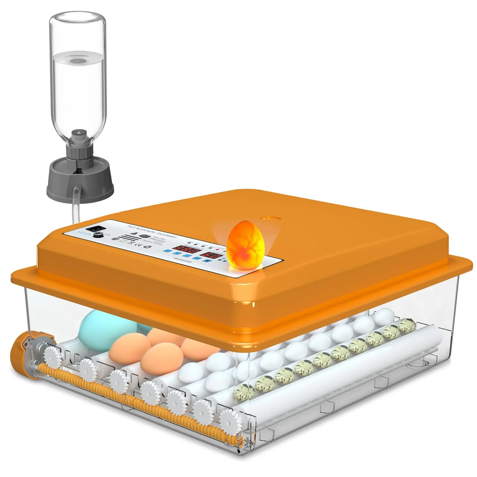 Chalixion Brutautomat Vollautomatisch 36 Eier mit Temperaturregelung, Brutmaschine mit 5 automatischen Brutmodi, Inkubator Feuchtigkeitsanzeige, Brutkasten automatischer Wasserauffüllung und Eierwende