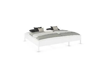 Mare Bett
