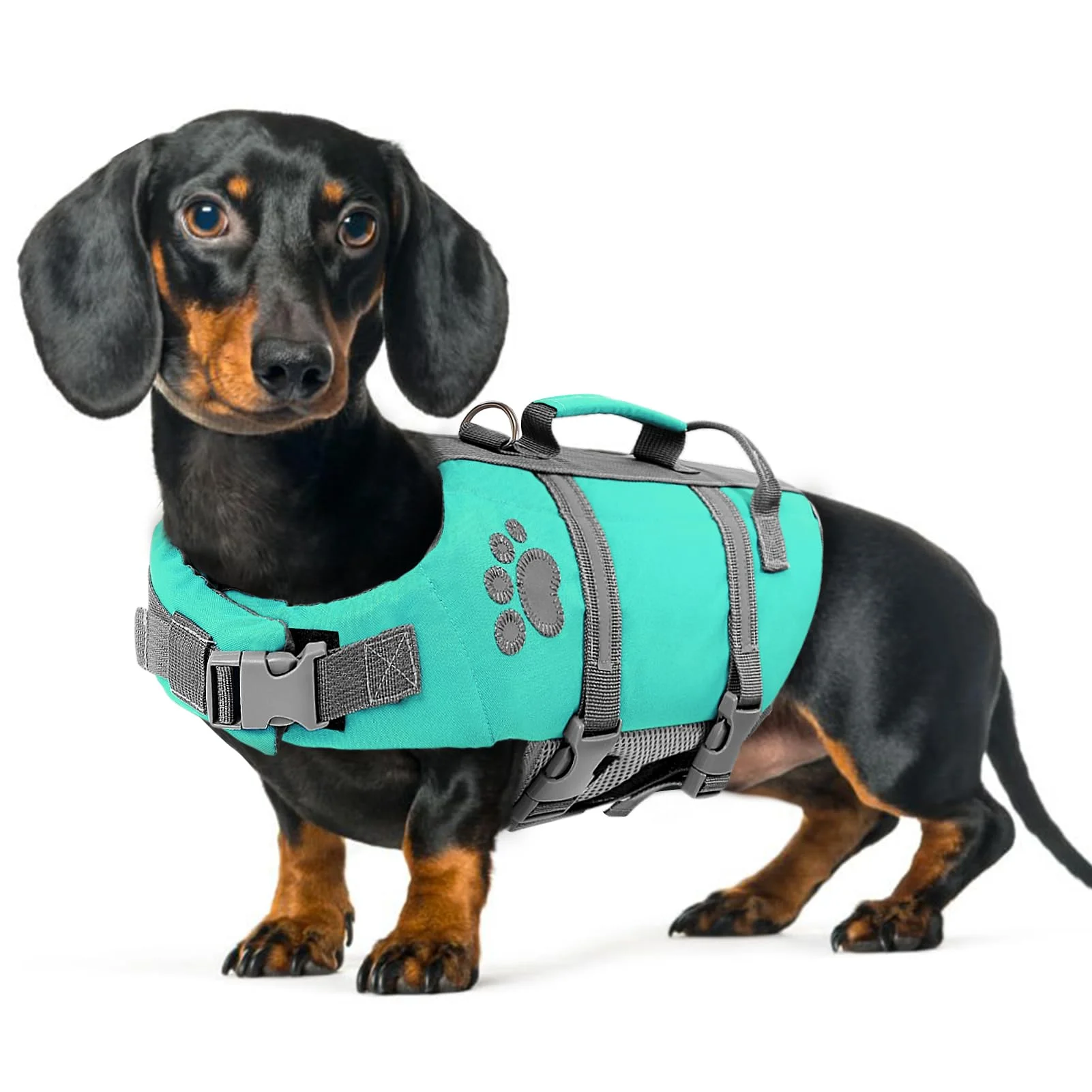 Queenmore Schwimmweste Hund Xs, Reflektierende Hundeschwimmweste, Verstellbar Hunde Schwimmweste, Rettungsweste Für Hunde Mit Griff, Rettungsweste Hund Chihuahua, Life Jacket Kajak, Türkis, XS