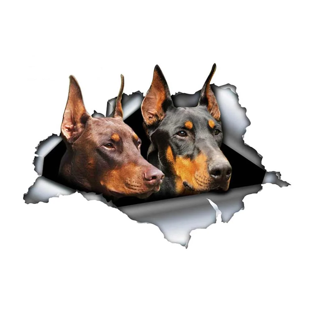 Dobermann Hunde Reflektierende Aufkleber, 3D Zerrissener Effekt, Wasserfest, Lustige Aufkleber für Auto, Laptop, Kühlschrank, Stoßstange, Fenster (15cm/5.9 Inch)