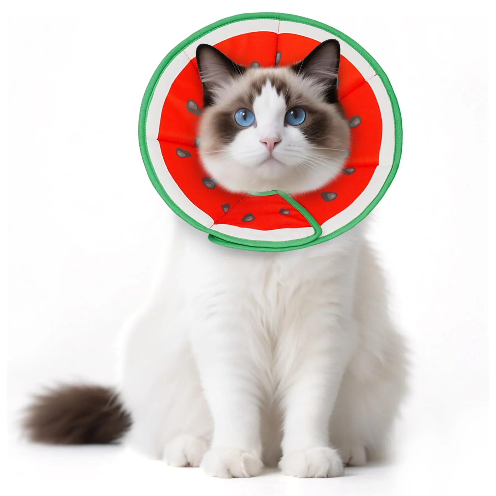 Supet Halskrause Katze Weich – Einstellbarer Halsband für nach Operation, Sterilisation & Hautpflege – Komfortabler, Waschbarer Katzenkragen – Für Haustiere in S/M/L (Wassermelone, S)