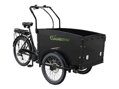 E-Lastenrad T1 Grand Trunk