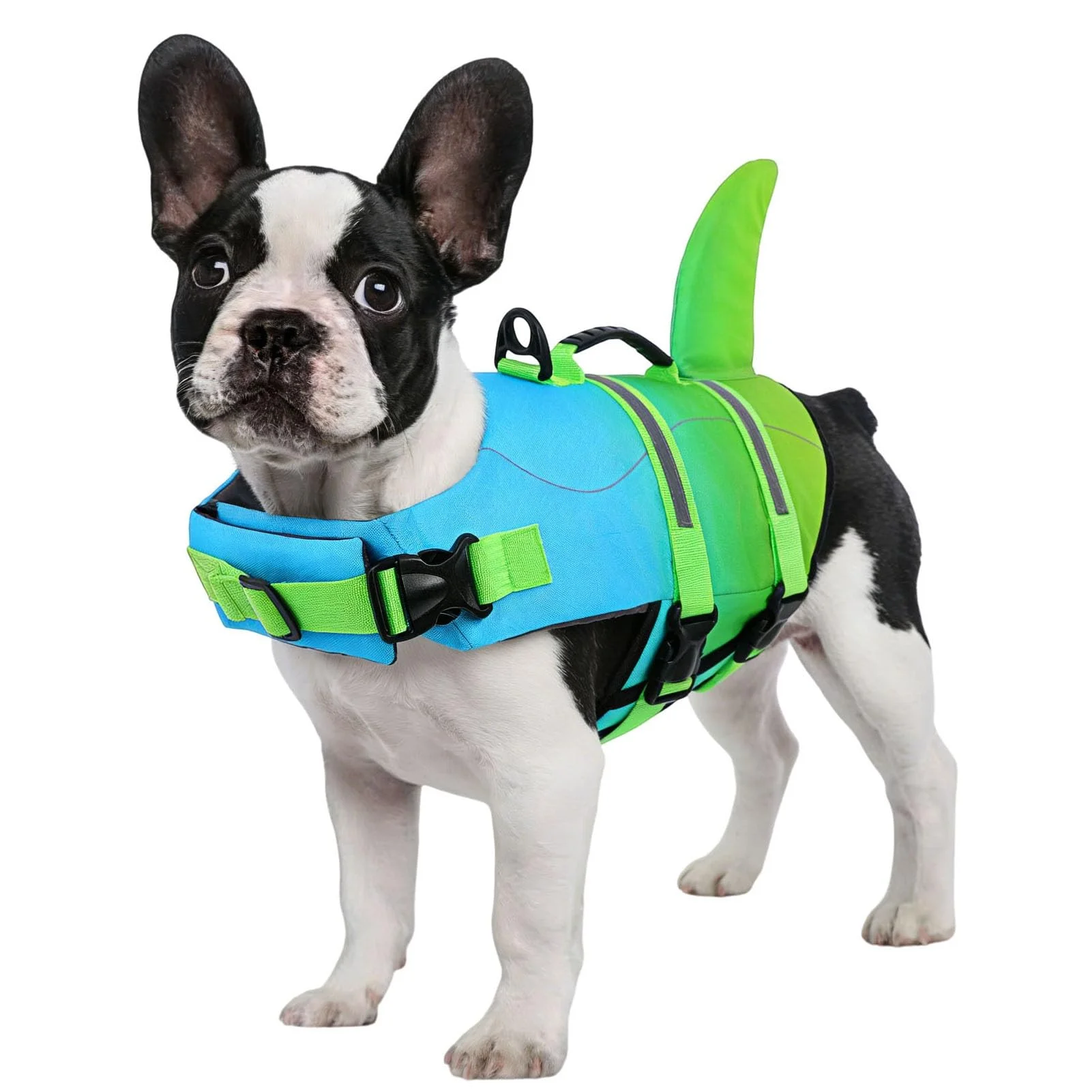 CITÉTOILE Schwimmweste Hund Hai, Hundeschwimmweste & Dog Life Jacket Verstellbar mit Griff und Reflektoren, Rettungsweste für Kleine Mittel Große Hunde & Welpen zum Schwimmen, Bootfahren, Surfen