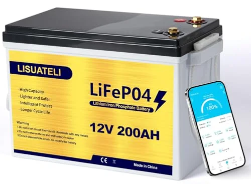 LISUATELI 12V LiFePO4 Lithium Batterie