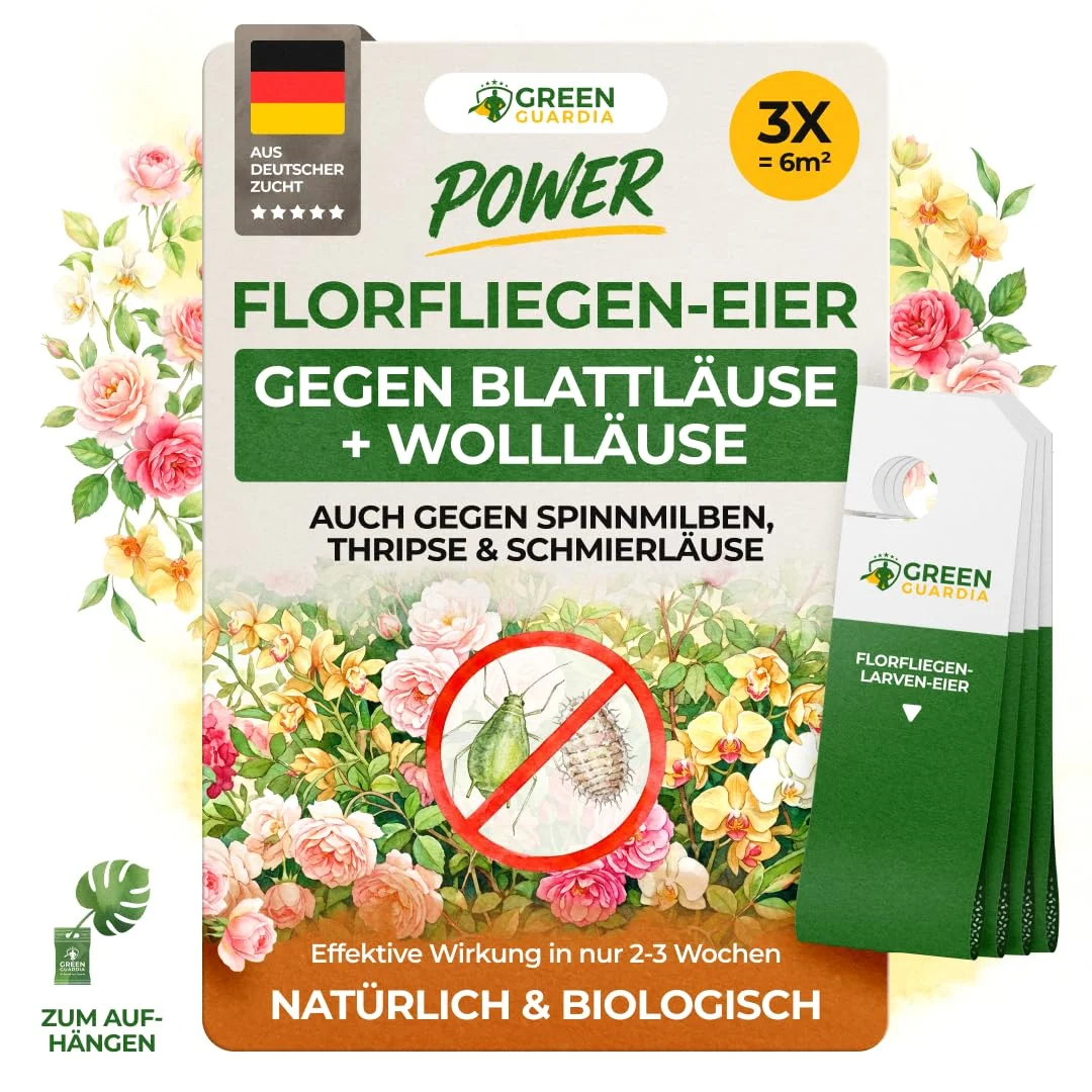GREEN GUARDIA Power Florfliegenlarven – 3X Karten – Gegen Blattläuse, Wollläuse, Thripse & Spinnmilben – Biologische Schädlingsbekämpfung für Zimmerpflanzen & Zierpflanzen
