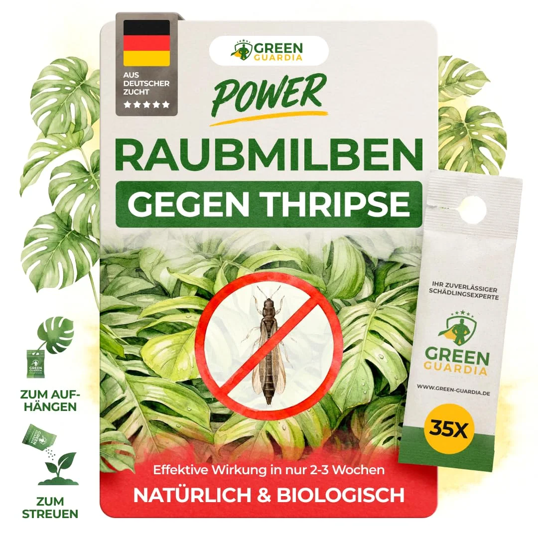 GREEN GUARDIA Power Raubmilben gegen Thripse – 35 Tüten -Biologisches Mittel zur effektiven Thripse Bekämpfung für Zimmer- & Zierpflanzen sowie Canna. – umweltfreundlich,chemiefreie Mittel