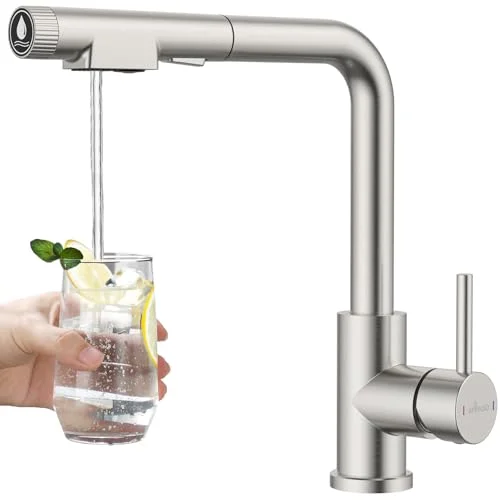 APPASO Wasserhahn Küche, Küchenarmatur Ausziehbar Hochdruck, Mischbatterie 360° Drehbar mit 2 Strahlarten, Einhand-Spültischarmatur für Küche Edelstahl