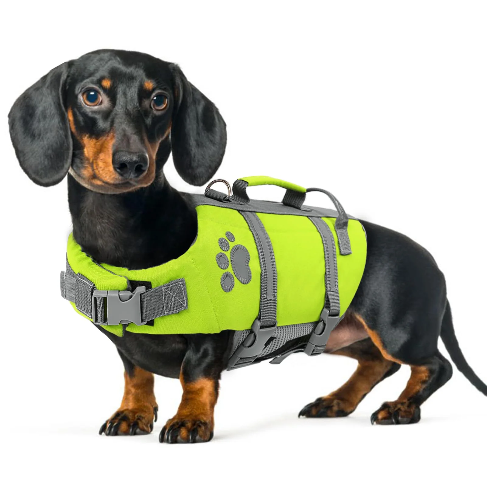 Queenmore Schwimmweste Hund Klein, Verstellbar Rettungsweste, Reflektierende Hunde Schwimmweste Mit Rettungsgriff, Dackel Französische Bulldogge, Kajak Surfen, Grün, S