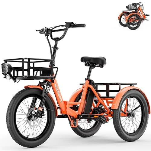 MOONCOOL E Bike Dreirad Klapprad, 20" Elektrofahrräder für Herren Damen, 36V 20AH Akku, 250W Motor 45 Nm, LCD-Display, IP65 Wasserdicht, 3 Fahrmodi, mit Großen Körben & Fußstützen