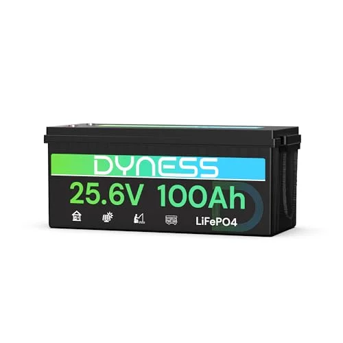 Dyness Lithium Batterie 12V / 24V 100Ah 200Ah LiFePO4 Akku