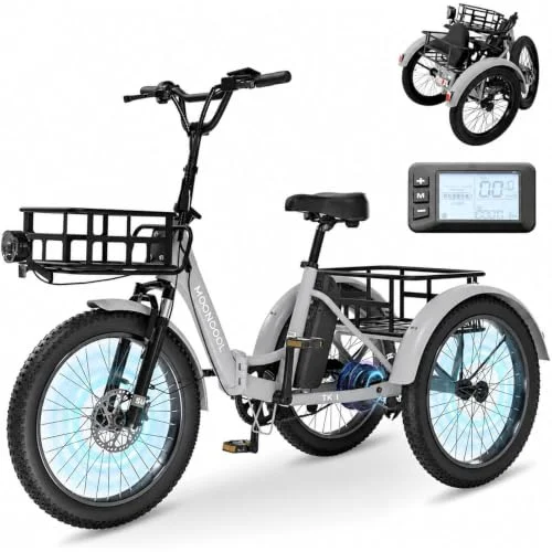 MOONCOOL E Bike Dreirad Klapprad, 20" Elektrofahrräder für Herren Damen, 36V 20AH Akku, 250W Motor 45 Nm, LCD-Display, IP65 Wasserdicht, 3 Fahrmodi, mit Großen Körben & Fußstützen