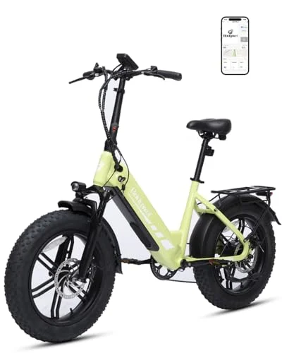 Bodywel F20PRO E Bike Herren Damen 20 Zoll All Terrain E Fatbike City & Mountain, 48V 20Ah Akku, 250 W Motor, Reichweite bis 120 km (PAS), Hydraulische Scheibenbremsen, 7-Gang Schaltung