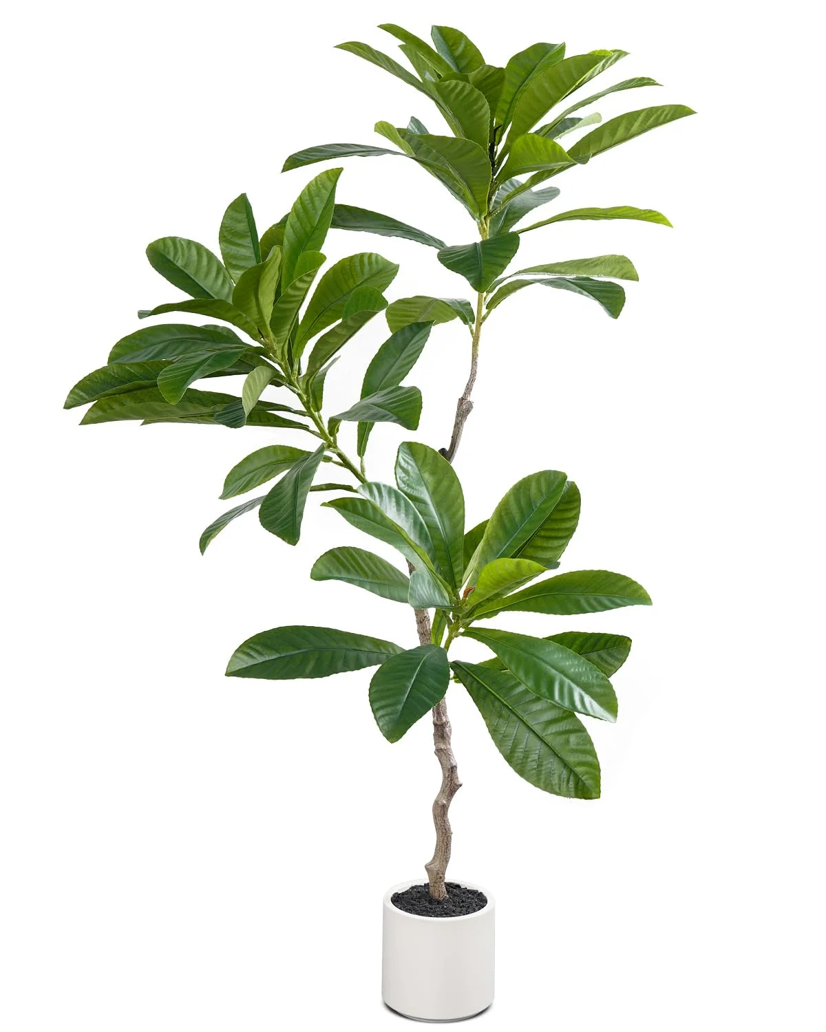 Leflos 150cm künstlicher Elaeocarpus Baum für den Innenbereich, Tropische realistische Elaeocarpus Pflanze im weißen Topf, deko für Wohnzimmer, Büro, Fest & Party