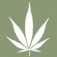 CBD Vital